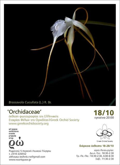 orch_poster